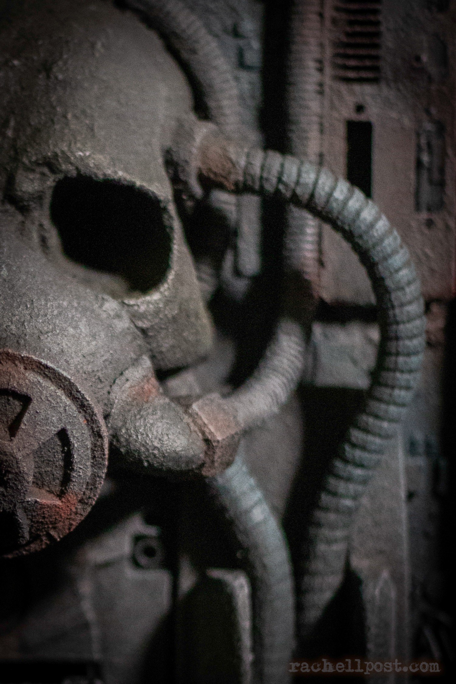 EMANU detail 2