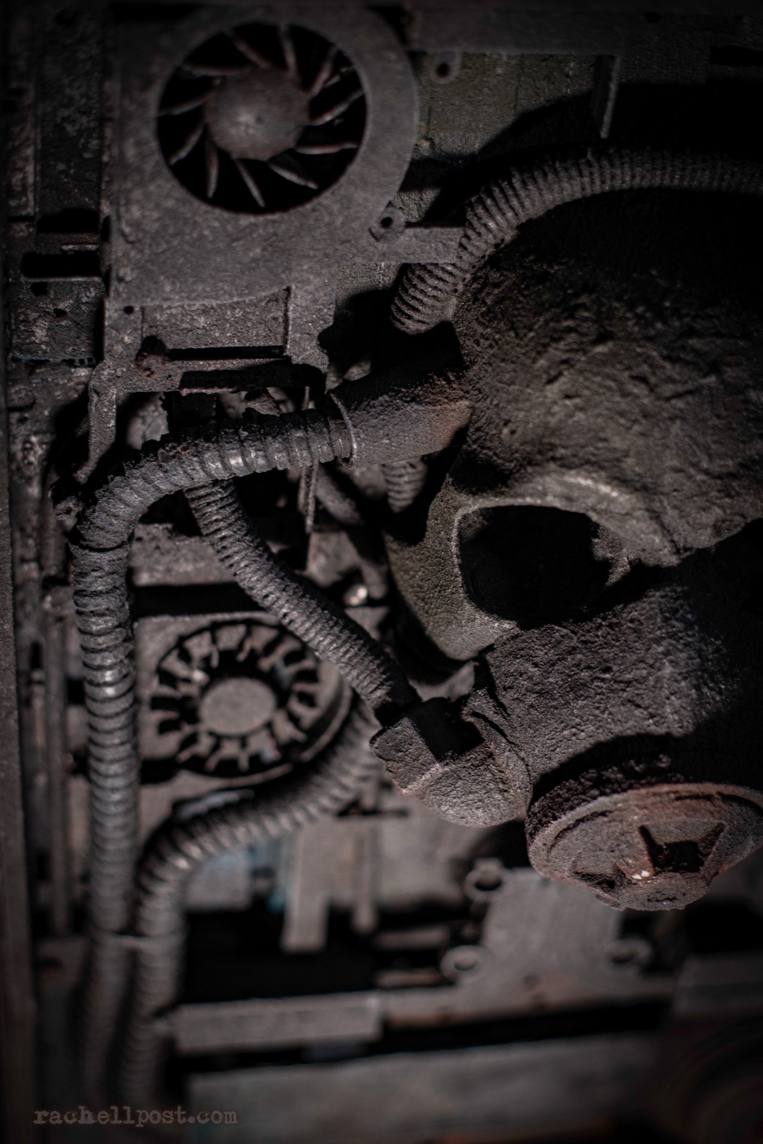 EMANU detail 3