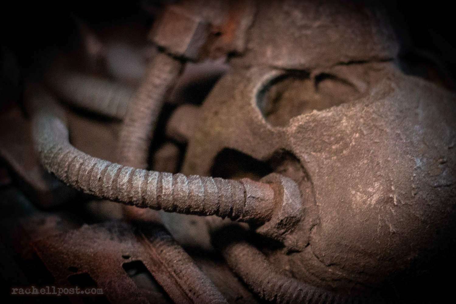 EMANU detail 7