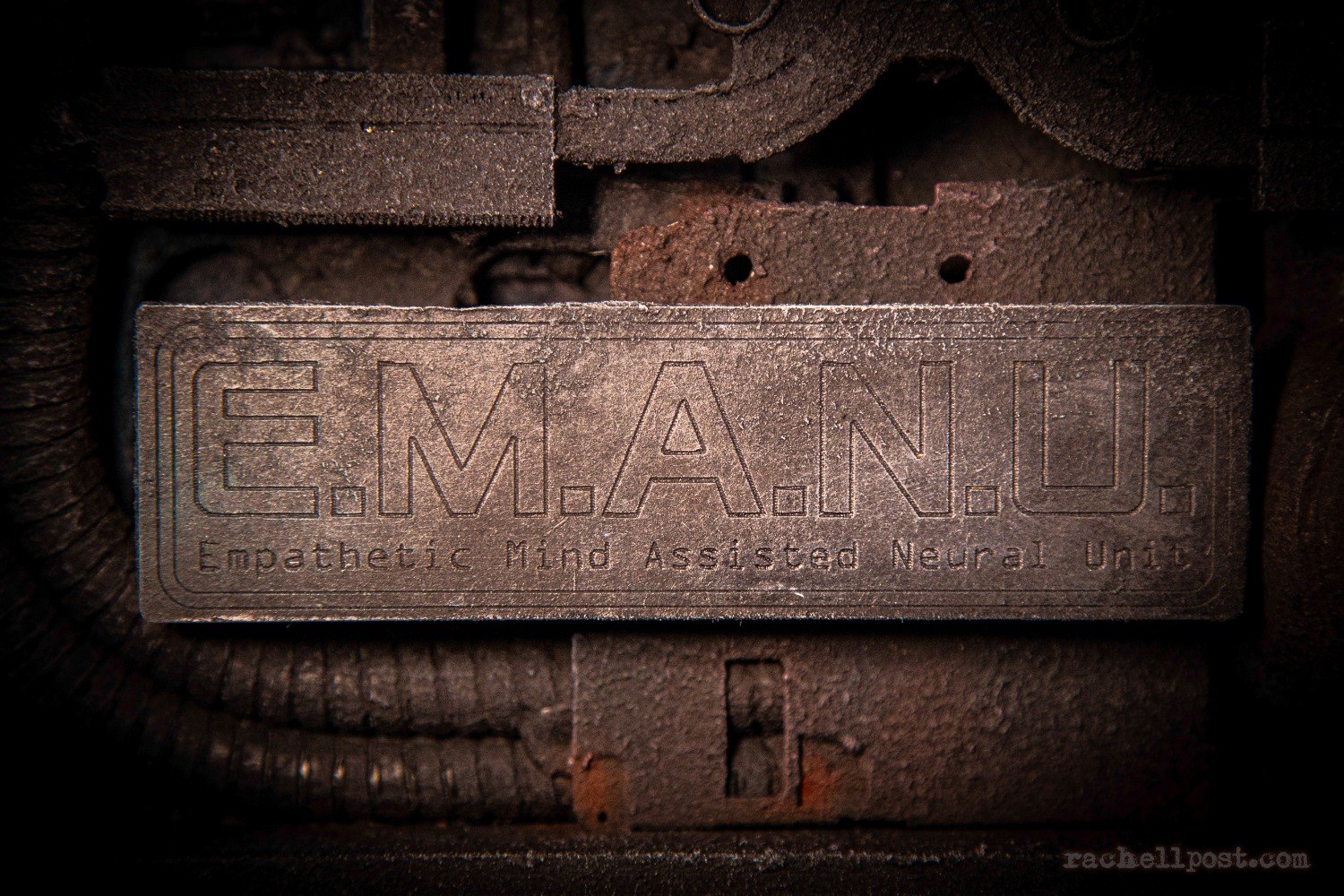 EMANU detail 8